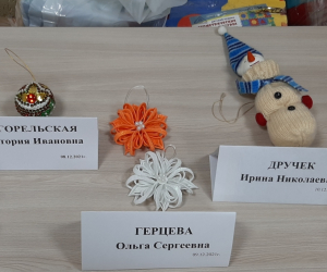 Лучшая новогодняя игрушка для ёлки